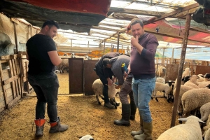 Sakız Proje Saha Çalışmaları