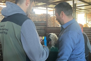 Sakız Proje Saha Çalışmaları