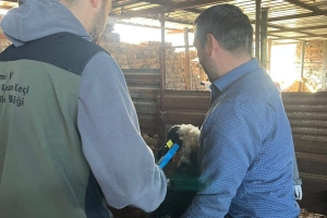 Sakız Proje Saha Çalışmaları