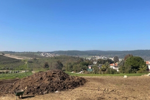 Sakız Proje Saha Çalışmaları