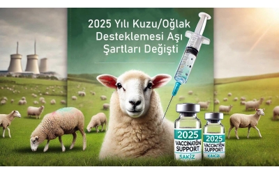 2025 Yılı Kuzu/Oğlak Desteklemesi Aşı Şartları Değişti