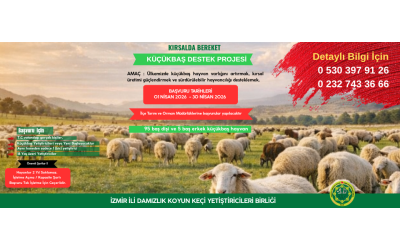 KIRSALDA BEREKET KÜÇÜKBAŞA DESTEK PROJESİ KRİTER VE BAŞVURU ŞARTLARI