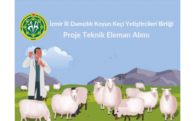 Proje Teknik Eleman Alımı