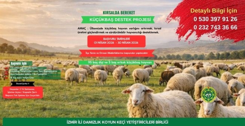KIRSALDA BEREKET KÜÇÜKBAŞA DESTEK PROJESİ KRİTER VE BAŞVURU ŞARTLARI