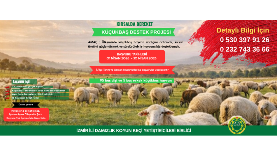 KIRSALDA BEREKET KÜÇÜKBAŞA DESTEK PROJESİ KRİTER VE BAŞVURU ŞARTLARI