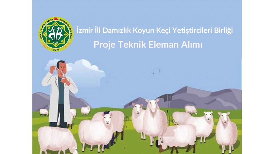 Sakız Koyunu Proje Teknik Eleman Alım İlanı