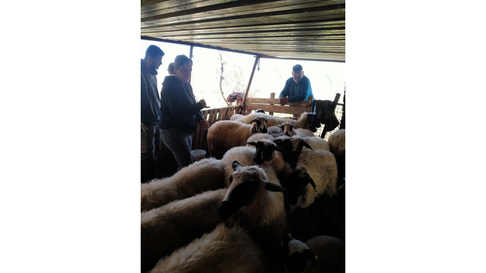 Sakız Proje Saha Çalışmaları